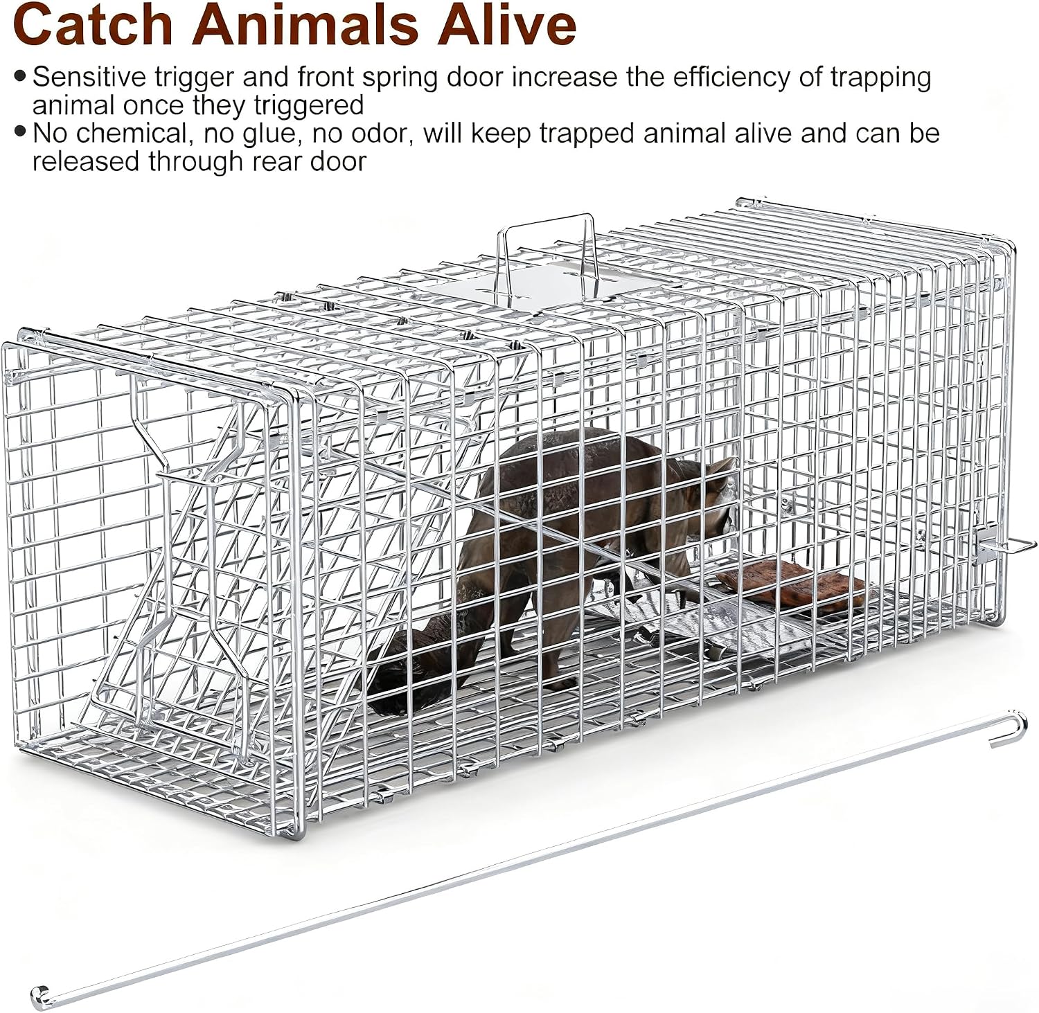 Large Live Animal Trap Cage Humane Collapsible Trap | Galvanized Iron Outdoor Foldable Animal Cage for Raccoons Foxes Coyotes Stray Dogs Armadillos - Image 3