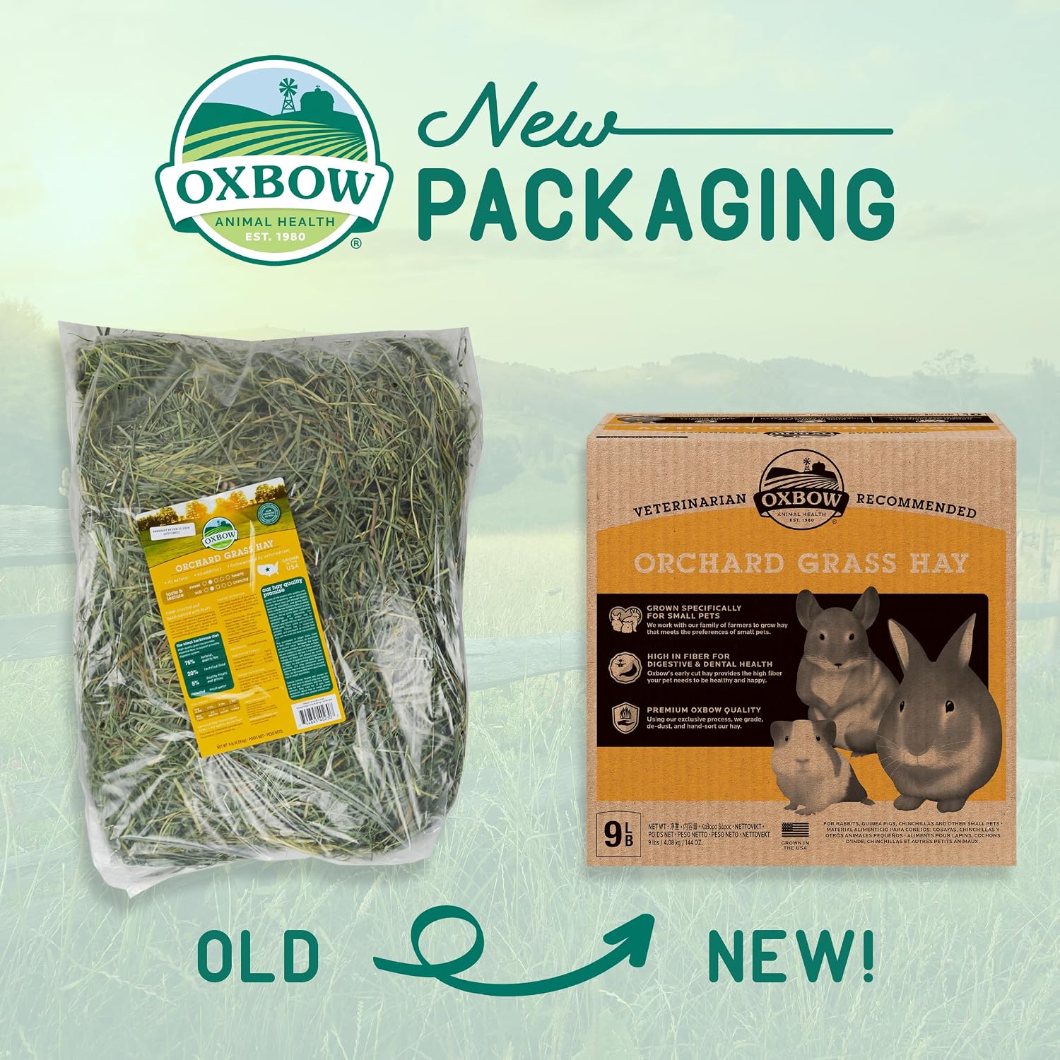Oxbow Animal Health Orchard Grass, Guinea Pig Hay, Rabbit Hay, Small Pet Bunny Supplies, All Natural Grass for Guinea Pig, Bunny, Chinchilla & Hamster, Oxbow Rabbit Supplies for Bunnies, 9 lb. box - Image 3