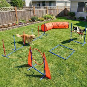DWVO Dog Agility Accessories Kit: C...