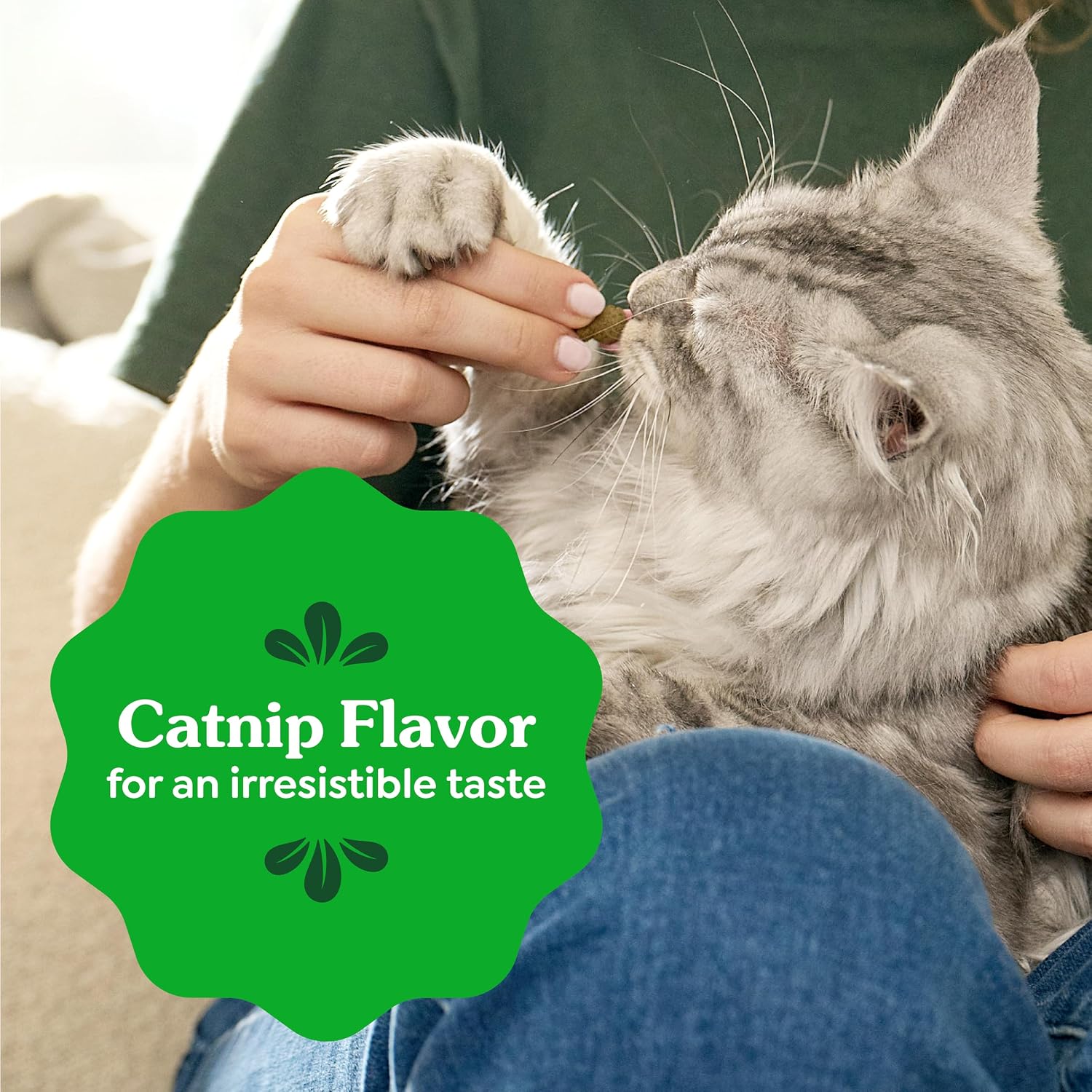 Greenies Cat Treats, Feline Veterinarian-Recommended Adult Natural Dental Treats, Catnip Flavor, 21 oz. Tub - Image 9
