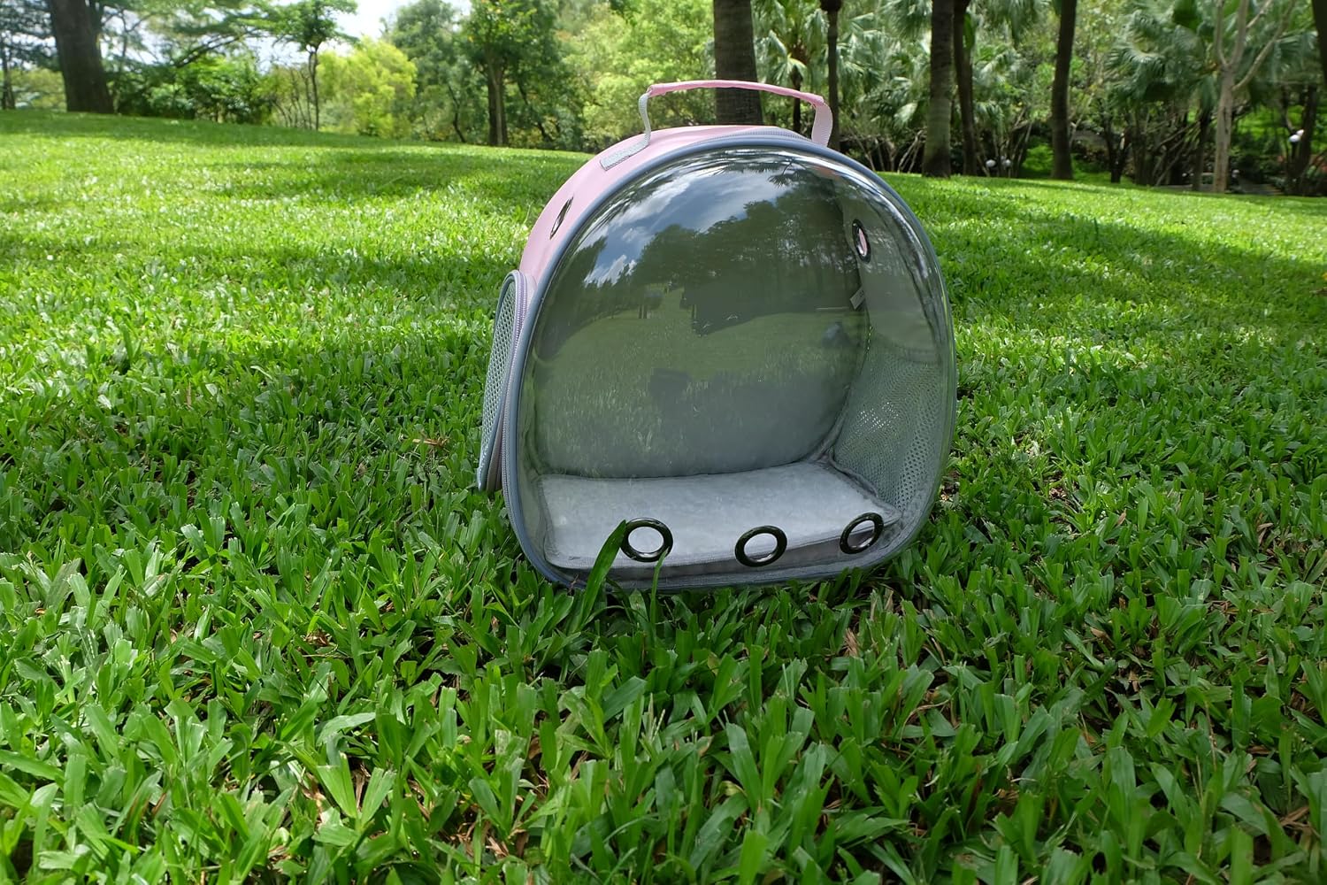 Small Animal Carrier Guinea Pig Backpack,Transparent, Breathable Backpack Carrier for Hedgehogs, Rabbits, Birds, Squirrels, Hamsters, Lizards Comfortable, Portable Travel Bag for Small Pets (Pink) - Image 5