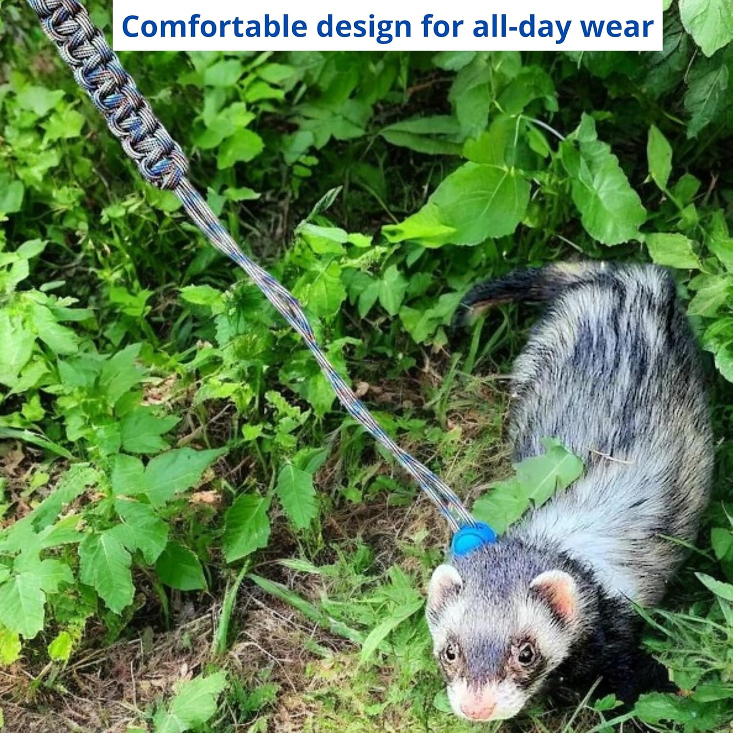 Ferret Leash Harness Adjustable Squirrel, Ferret Leash and Harness Sets for Ferrets Guinea Pig Chinchilla Rat Dragon Bearded Small Animal, Pet Squirrel Ferrets Accessories (Pink) - Image 6