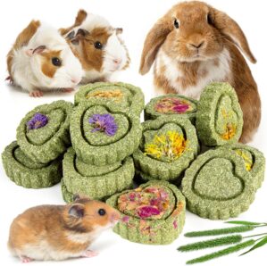 Sofier 12Pcs Timothy Hay Treats Rab...
