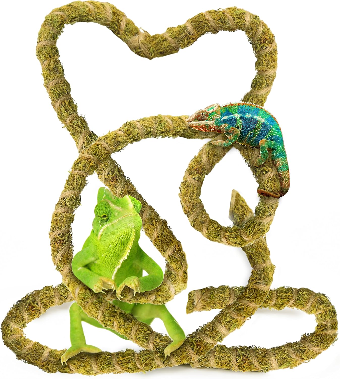 Duspro 10FT Reptile Vines for Climbing Bendable Branch for Reptile Natural Moss Rope Jungle Decor for Bearded Dragon, Chameleon Tank Accessories, Snake Gecko Lizard Terrarium