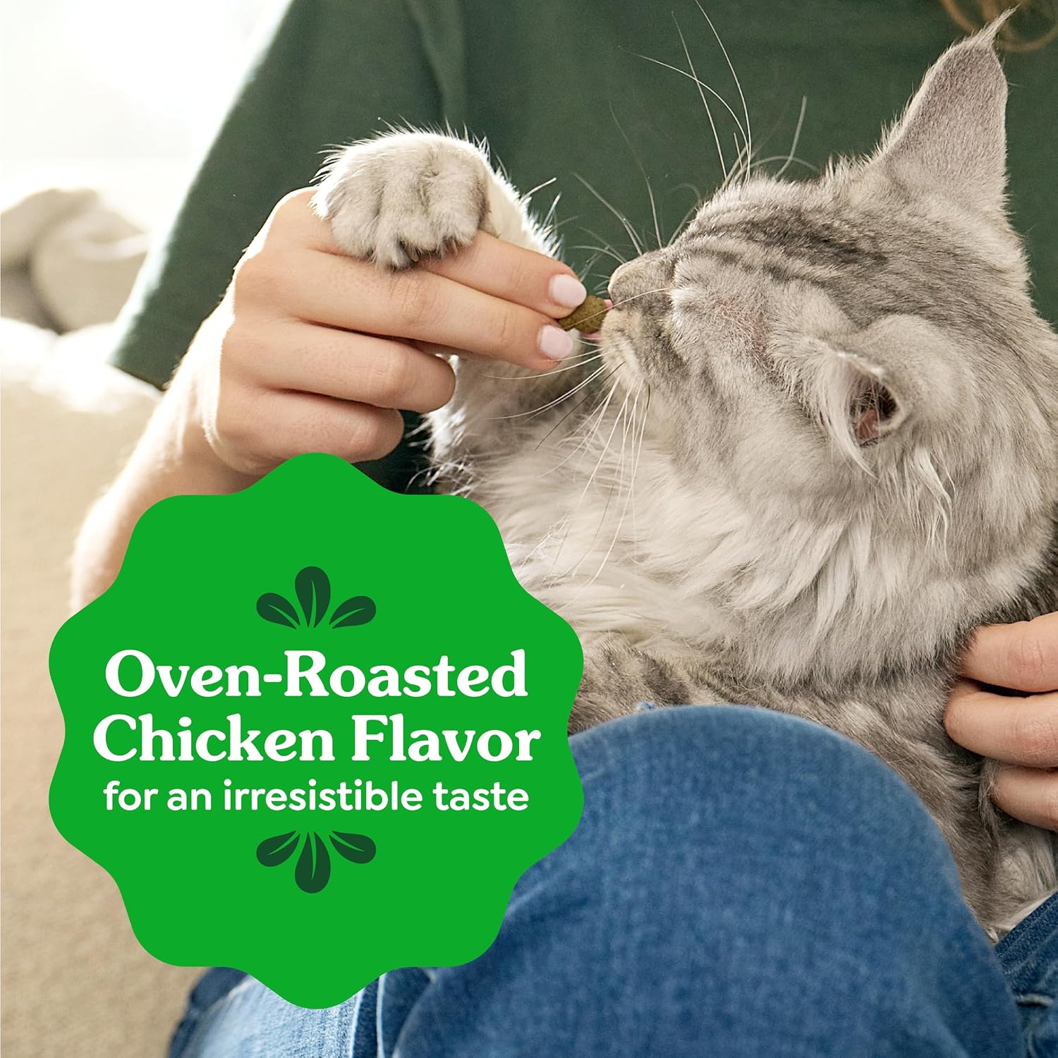 Greenies Cat Treats, Feline Veterinarian-Recommended Adult Natural Dental Cat Treats, Oven Roasted Chicken Flavor, 9.75 oz. Tub - Image 9