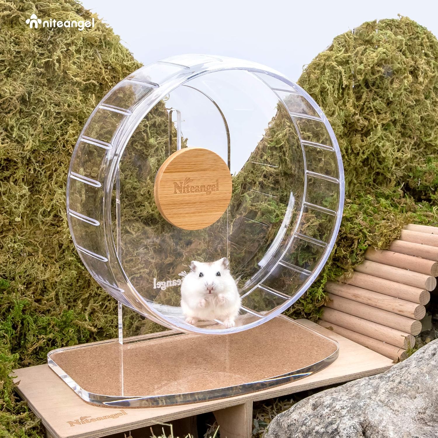 Niteangel Super-Silent Hamster Exercise Wheels: - Quiet Spinner Hamster Running Wheels with Adjustable Stand for Hamsters Gerbils Mice Or Other Small Animals (S, Transparent) - Image 4