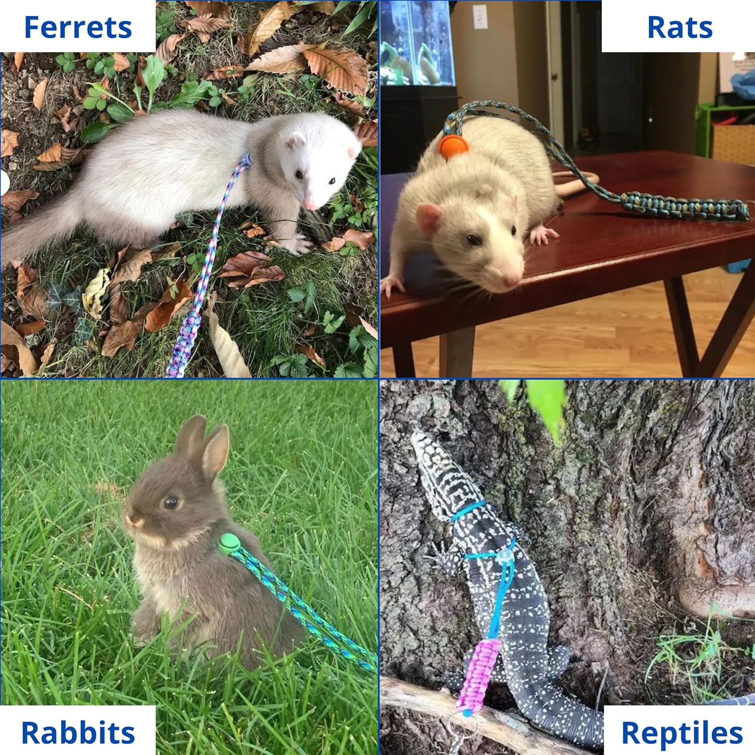 Ferret Leash Harness Adjustable Squirrel, Ferret Leash and Harness Sets for Ferrets Guinea Pig Chinchilla Rat Dragon Bearded Small Animal, Pet Squirrel Ferrets Accessories (Pink) - Image 4