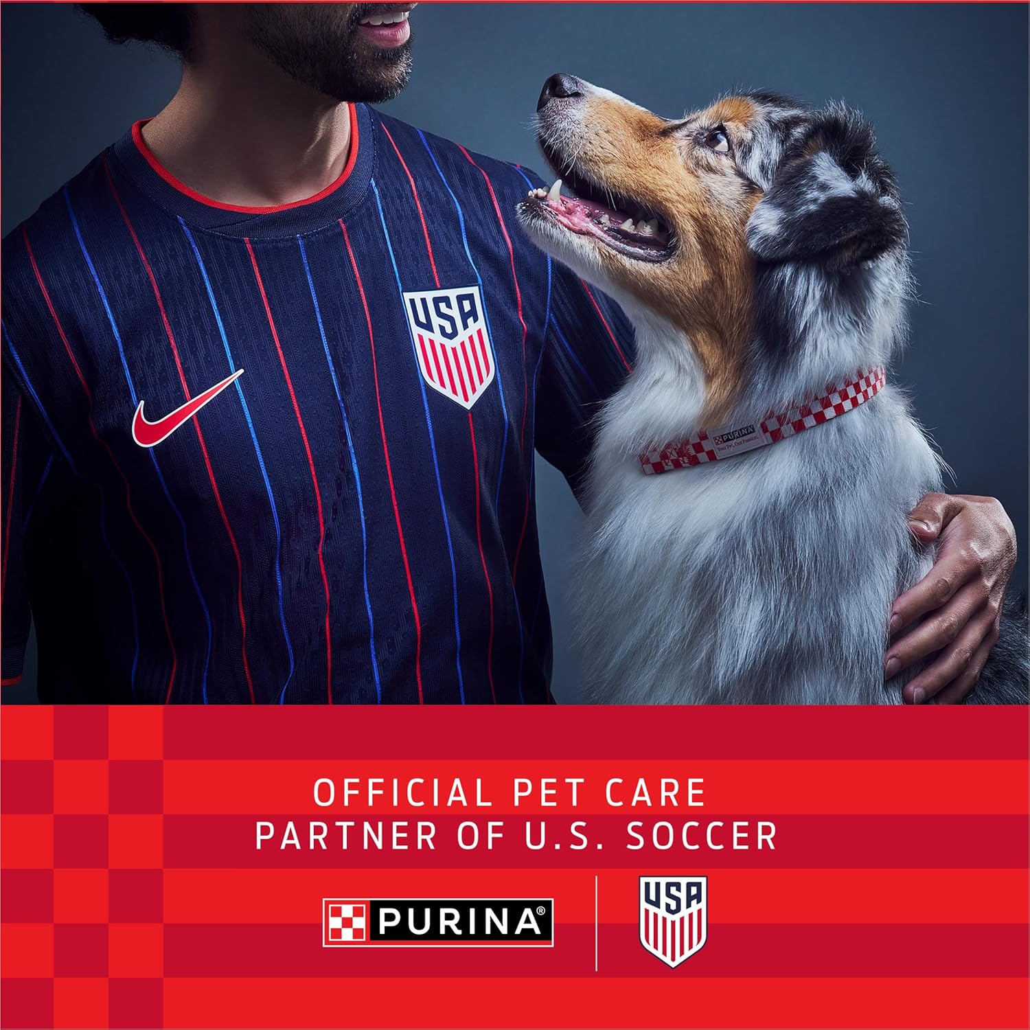 Purina Pro Plan Veterinary Supplements FortiFlora Probiotic Powder for Dogs, Daily Support for Digestive and Immune Health and Occasional Diarrhea - Image 2