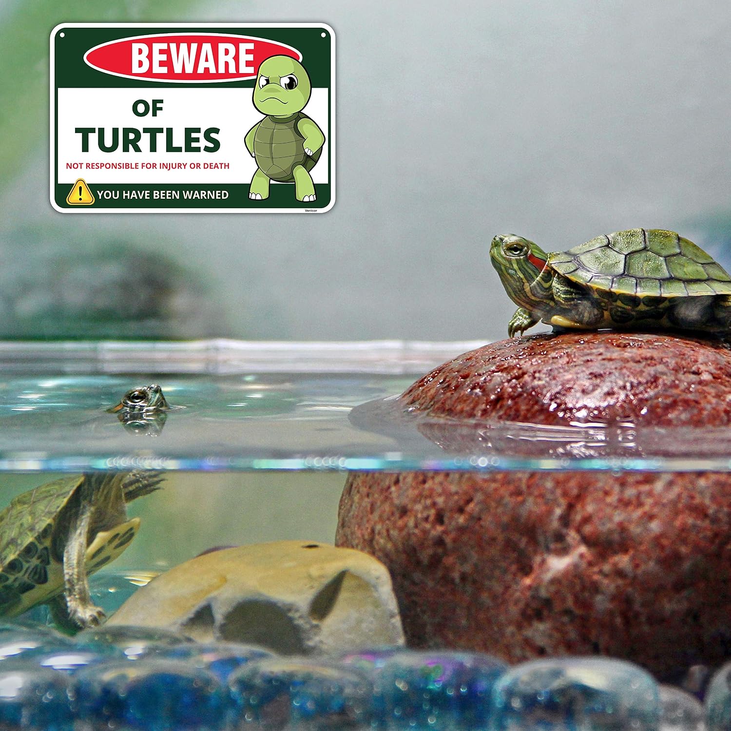 Venicor Turtle Sign Decor - 8 x 12 Inches - Aluminum - Turtle Gifts for Turtle Lovers Women - Pet Turtle Tank Aquarium Accessories Habitat Decorations Stuff - Image 5