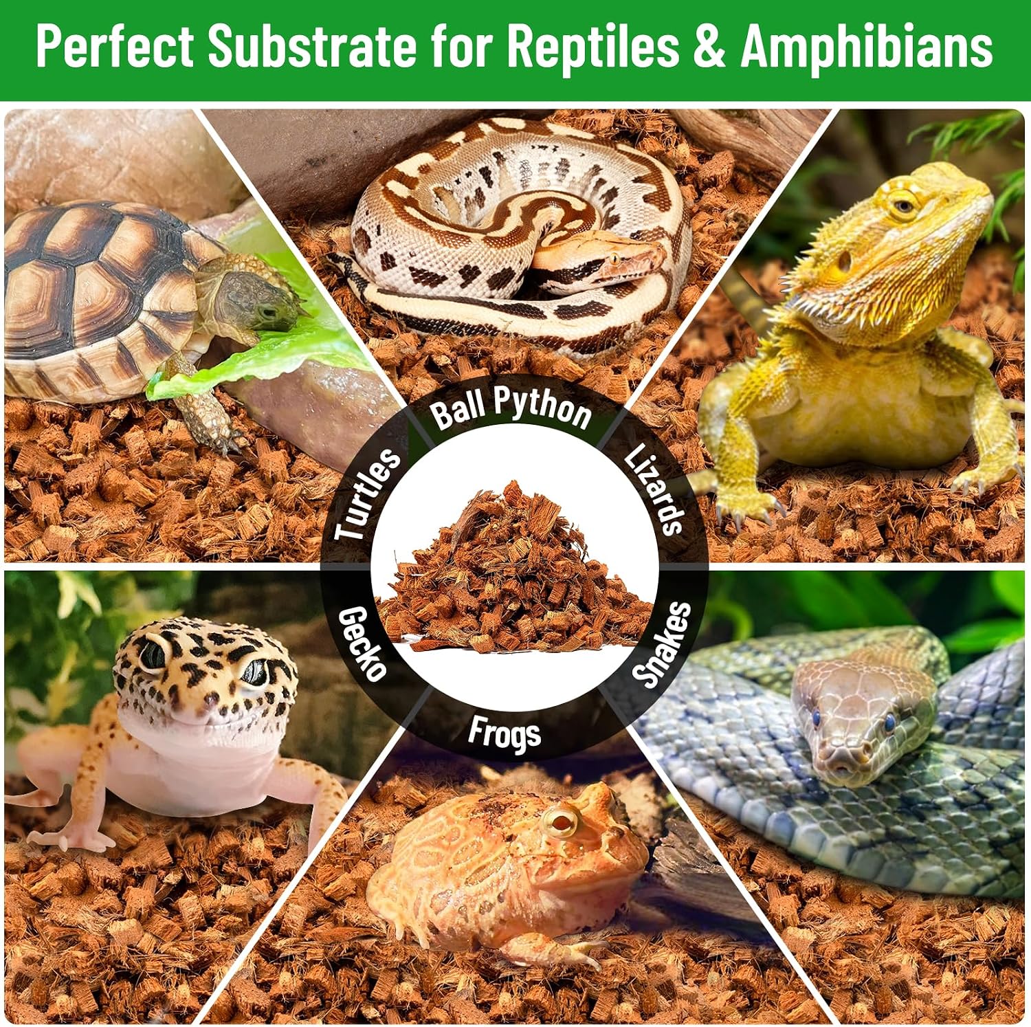 Riare 4 Pack Natural Coconut Chip Substrate for Reptiles- Compressed Coconut Husk Reptiles Bedding, Coco Husk Chip Terrarium Substrate for Snakes, Tortoises, Ball Python, Frogs, Bearded Dragon, Lizard - Image 7