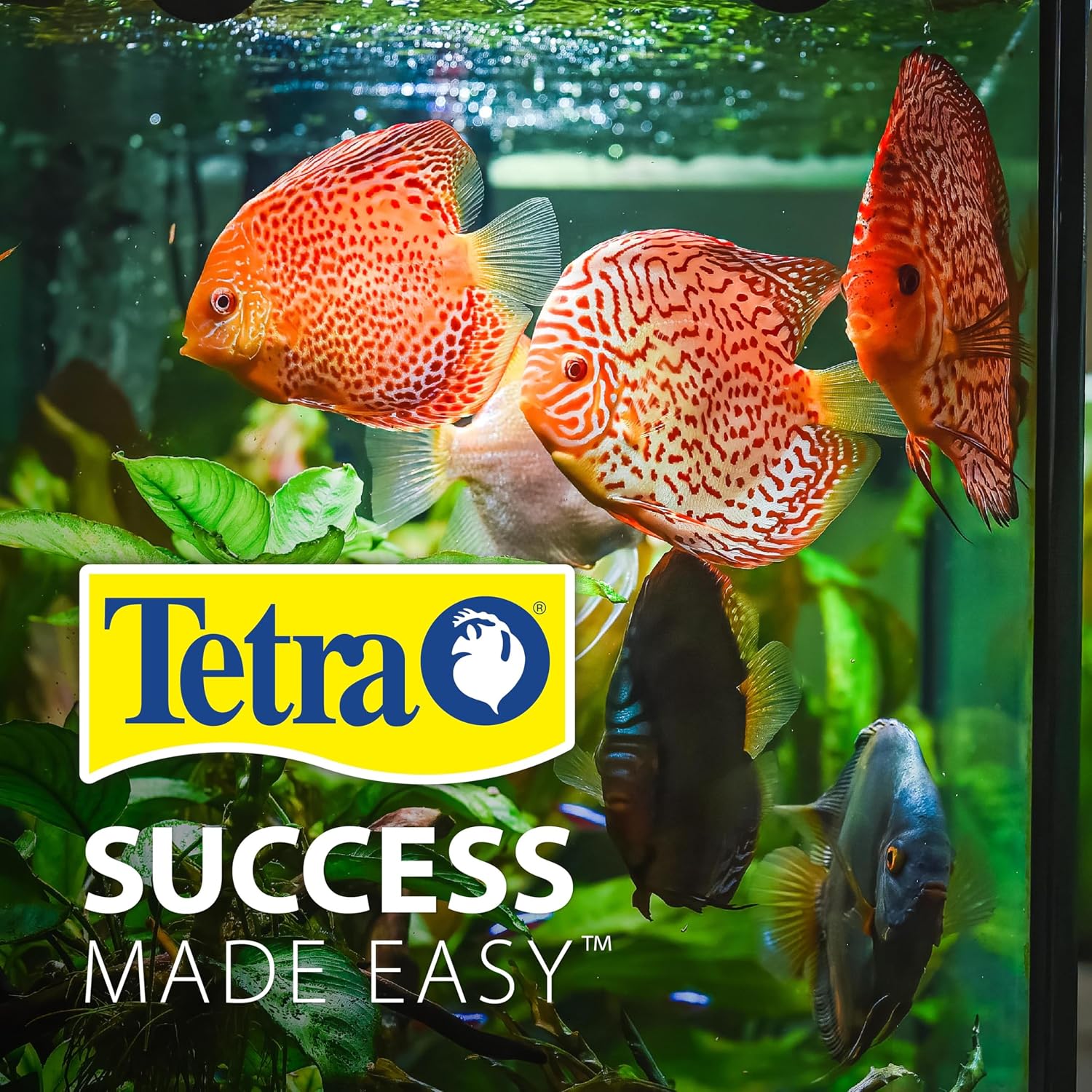 Tetra 3 Gallon Small Fish Tank, Aquarium Starter Kit, with Filter, Air pump, & Color Changing Light, Half Moon shape, for Gold Fish & Betta - Image 10