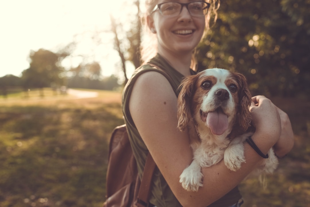A happy dog and cat in a car, ready for a road trip, with travel gear and pet safety items visible.