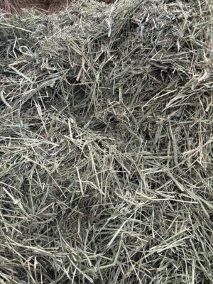 High Desert Feeds 100% Meadow Grass...