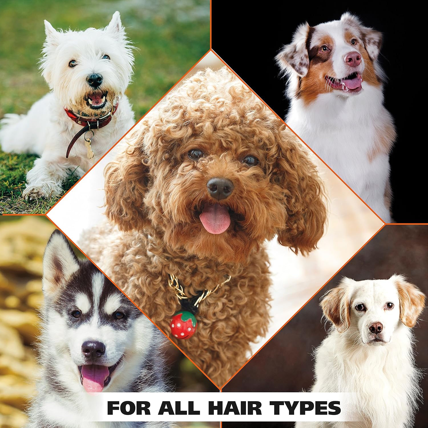 Wahl USA 4-in-1 Calming Dog Shampoo with Lavender Chamomile Scent – Cleans, Conditions, Detangles, & Moisturizes - Pet Friendly Formula - 24 Oz - Model 820000A - Image 8