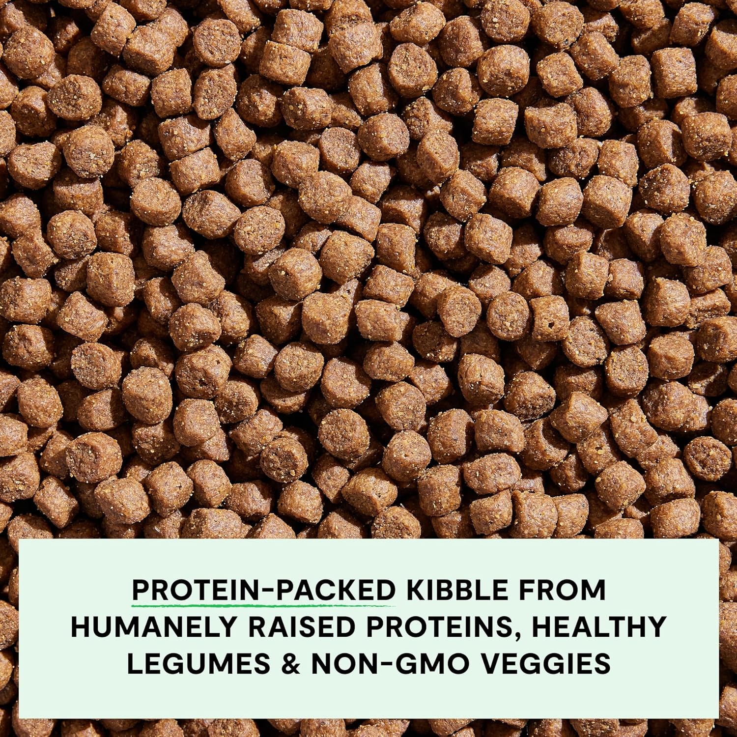 Open Farm, Grain-Free Dry Dog Food, Complete & Balanced Kibble, Sustainably & Ethically Sourced Ingredients, Non-GMO Veggies & Superfoods to Support Overall Health, Grass-Fed Beef Recipe, 4lb Bag - Image 3