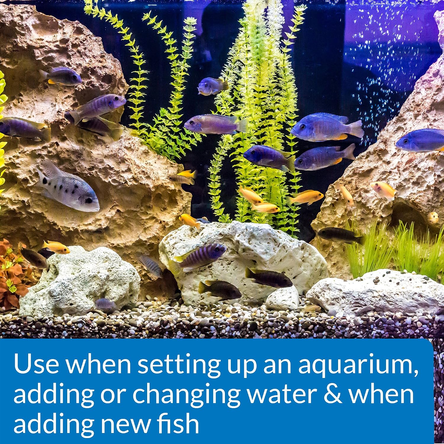 API Stress Coat Aquarium Water Conditioner 16-Ounce Bottle - Image 3