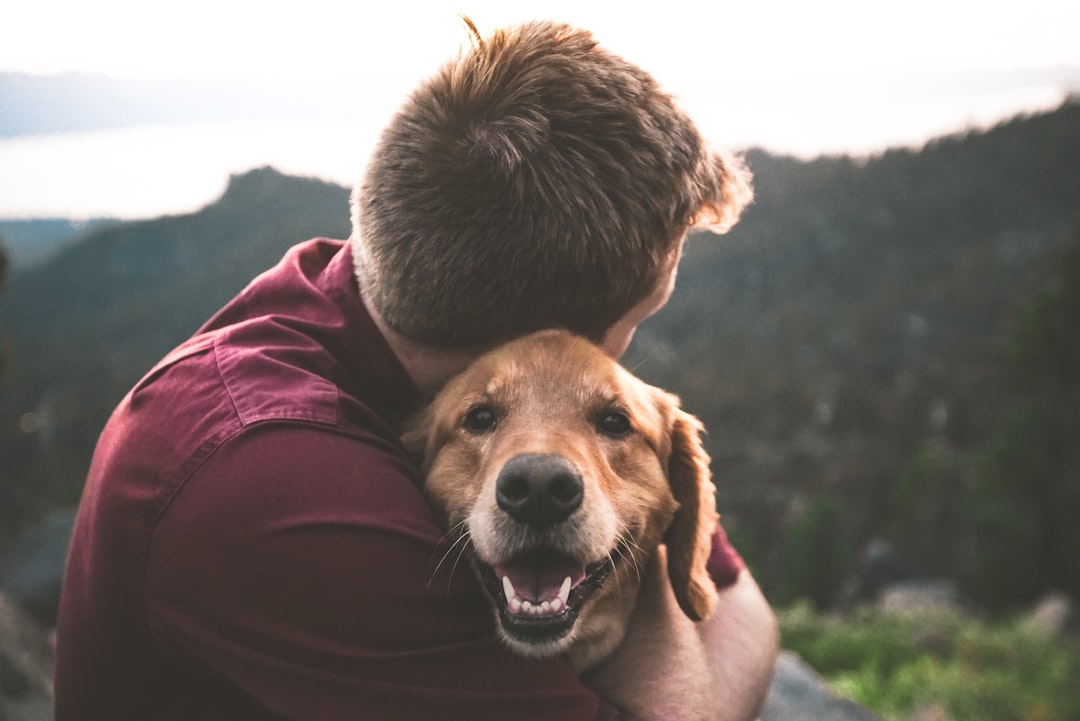 A person spending quality time with their dog in a park, showcasing affection and connection.