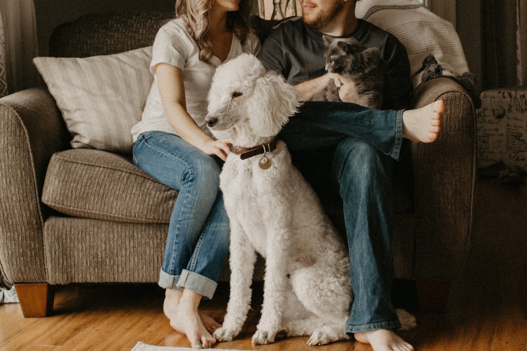 A happy pet engaging with toys and activities in a cozy home environment.