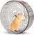 Mini Silent Exercise Wheels for Hamsters Less Than 4 inches 10 cm in Length Toys Hamster Ball Small Pet Running Toy Ball Gerbils Mice Rat Guinea Pig Hamster Cage Accessories