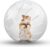 Hamster Exercise Ball Silent Hamster Wheel Small Animals Transparent Ball for Dwar Rat Relieves Boredom and Increases Activity (4.8 inch, Clear)