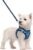 rabbitgoo Dog Harness Small Sized and Leash Set, Step in Soft Light Puppy Vest, Breathable Mesh Pet Harness, Reflective for Safe Easy Walking, Blue Zigzag S