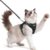 rabbitgoo Cat Harness and Leash, Easy-on with Neck Buckle, Black | Escape Proof, No Over-the-head, Soft Air Mesh, 3 Lockable Adjusters & Buckles, Reflective, for Medium to Large Cats Walks, M