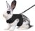 Black Bunny Harness and Leash, Escape Proof Rabbit Harness and Leash Set, Cute Bunnies Vest Clothes Stuff Accessories, Suit for 7+ Months Rabbit/Ferret, XL