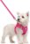 rabbitgoo Dog Harness Small Sized and Leash Set, Step in Soft Light Puppy Vest, Breathable Mesh Pet Harness, Reflective for Safe Easy Walking, Rose Red S
