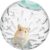 7.9 Inch Clear Hamster Exercise Ball, Large Transparent Running Toy for Syrian & Dwarf Hamsters, Breathable Plastic Activity Ball for Small Pets (Green Lid)