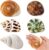 5PCS Medium and Large Hermit Crab Shells | Natural Sea Conch Size 2.2″ – 3.4″, Opening Size 1.5″ – 2″ | Turbo Seashells for Hermit Crab Supplies and Beach Decoration Medium Large Sea Shell