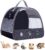 Guinea Pig Carrier Backpack, Clear Bubble Window Backpack for Guinea Pig, Bunny Rat Bird (Black, Carrier)