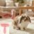 MCTOURY Rabbit Brush for Shedding Grooming: Effective at Removing 99% Loose Hair – Gentle Massage Appears Relaxed Comfortable & Soft Bristles – Safe for Sensitive Bunnies Cats Small Pets