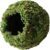 Galápagos (05346) Mossy Cave Hide, 4″, Green