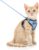 Dooradar Cat Harness and Leash Set, Adjustable and Escape Proof, S | Easy Fit, Snap Buckles, Soft Breathable Vest, Sturdy Clip, Reflective Strips, for Average Cat Walks, Light Blue