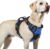 rabbitgoo Dog Harness for Large, No Pull Easy On & Off with 3 Buckles Pet Harness, Adjustable Soft Walking Vest with 2 Clips and Handle, Reflective for Large Dogs, Blue, L