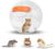 Clear Hamster Exercise Ball (7”) – Sturdy Dwarf Hamster Ball for Safe, Active Play – Ventilated Small Animal Toys for Gerbils, Mice & Other Small Pets – Must-Have Pet Rat Accessories