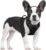rabbitgoo Dog Harness No Pull with 2 Leash Clips, Adjustable Soft Padded, Reflective Oxford No Choke Pet Vest with Easy Control Handle for Small Dogs, Black, S