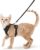 rabbitgoo Cat Harness and Leash Set, Escape Proof Vest, Black | Soft Breathable Mesh, Easy Adjustable Fit, Snap Buckles, Sturdy Clip, Reflective Strips, for Small & Average Cats Walks, Xs