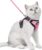 Dooradar Cat Harness and Leash Set with Neck Release Buckle, Pink | Escape Proof, 3 Easy-on Buckles, Smooth & Lockable Adjustment, Soft Air Mesh, Reflective, for Small to Average Cat Walks, S