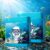 High-Efficiency Aquarium Water Purification Tablets,Aquarium Tablets,Water Purification Tablets for Fish Tank,Remove All Kinds of Turbidity from Fish Tankwater (2PC)