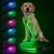 4 Ft LED Dog Leash, Light Up & Lighted Dog Leash, 7 Lighting Modes, Glow in The Dark, Reflective, Double-Sided Light, Rechargeable with Padded Handle for Night Walking Safety, Small to Large Pets