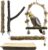 5Pcs Natural Wooden Bird Perch Set – Parrot Perch Toys, Bird Cage Perches, Cage Accessories for Budgies, Cockatiels, Lovebirds, Finches, and Other Small to Medium Birds