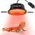 REPTI ZOO G9 Reptile Infrared Heat Lamp Combo Kit- 50W UVA Basking Red Bulb & Low Profile Tank Hood for Bearded Dragons Turtles Lizards Geckos | Terrarium Heating Lamp Spot Light with Safety Mesh