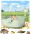 Portable Hamster Carrier for Travel – Acrylic Small Animal Cage with Ventilation Holes,Escape-Proof Hamster Travel Cage for Outdoor Picnics, Vet Visits (Mint Green)