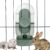 Lemtrflo 28oz Hanging Automatic Water Dispenser，Rabbit Water Bottle,Bunny Guinea Pig Ferret Water Bowl for Cage,Suitable for Small Animal Puppies(Cage Grid Spacing Over 1.2”) (Green)