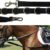 Intrepid International Horse Rein – Side Rein with Elastic and Stainless Steel Dees, 63-64in Adjustable Length, Nylon, Perfect for Equestrians, Horse Owners, and Lunging – ONE REIN