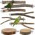 8-Piece Set Natural Wood Bird Perches – Wooden Parrot Stand with Fork Toys, Hanging Multi-Branch Platform, Hammock Swing – Suitable for Parakeets, Budgies – Durable Pet Bird Accessories