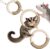 Mygeromon Sugar Glider Toys Climbing Ring Cage Accessories Squirrel Rat Wood Hanging Enrichment Supplies