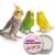 2.5 Oz Bird Beak Moisturizer & Foot Balm for Parrots, Natural Oil for Dry Cracked Beak & Skin, Bird Feet Care Cream for Cockatiel, Conure, Parakeet Grooming Supplies