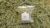 High Desert Feeds Timothy Hay Tips for Small Pets – Premium Chewy Tops for Rabbits, Guinea Pigs & Chinchillas – All-Natural, High-Fiber Treat – Hand-Harvested in the USA – 50 Gram Bag